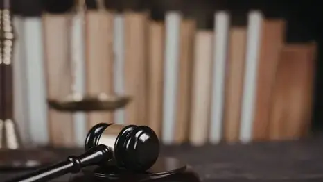 avocat droit des enfants à Brest - image 2