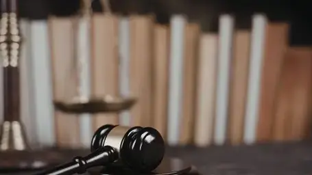 avocat droit des enfants à Gouesnou - image 3